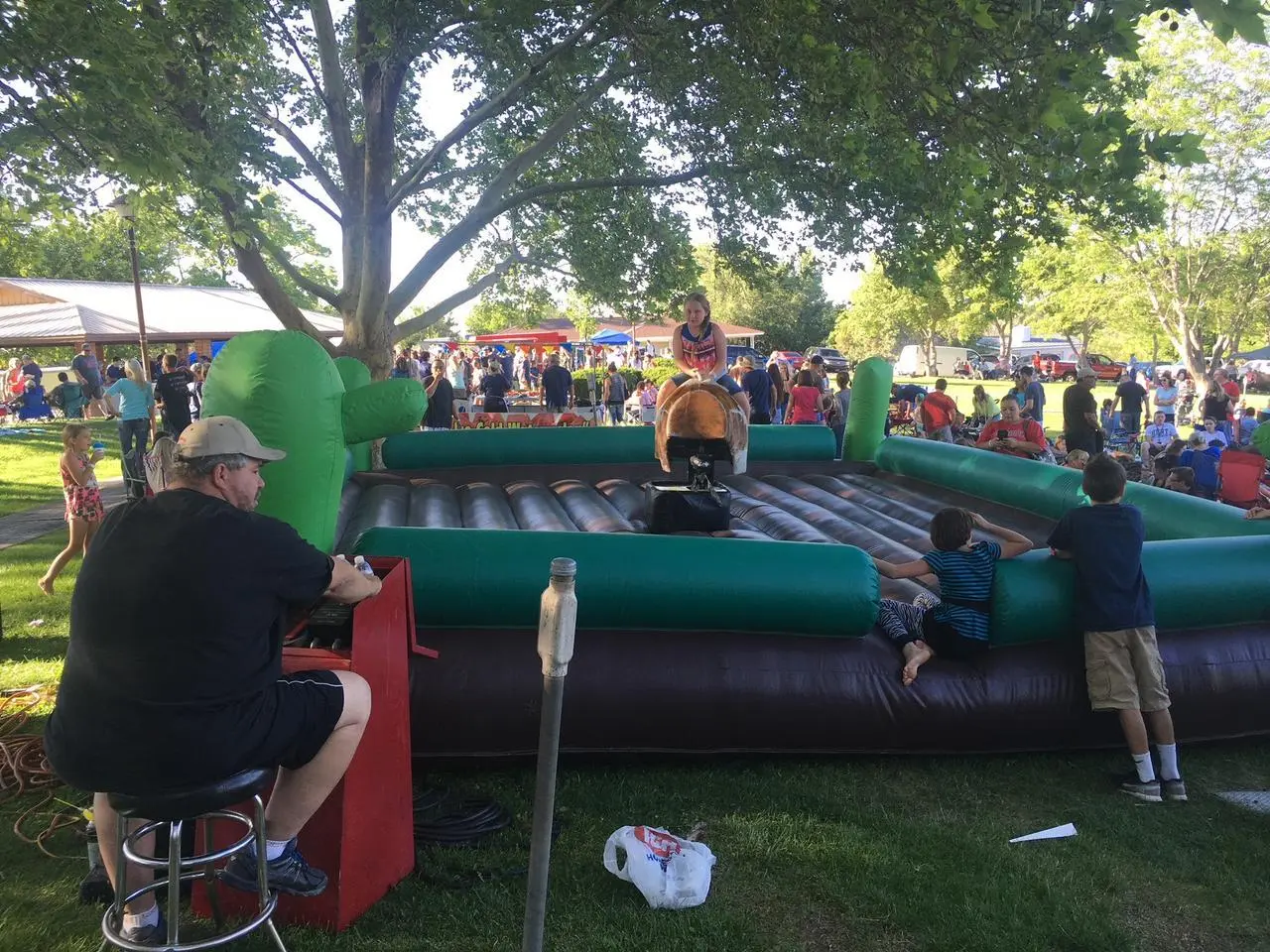 Mechanical Bull