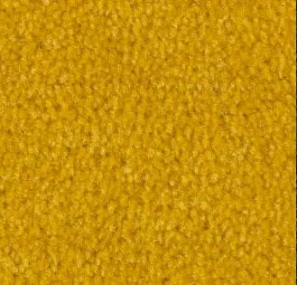Gold Carpet Sample